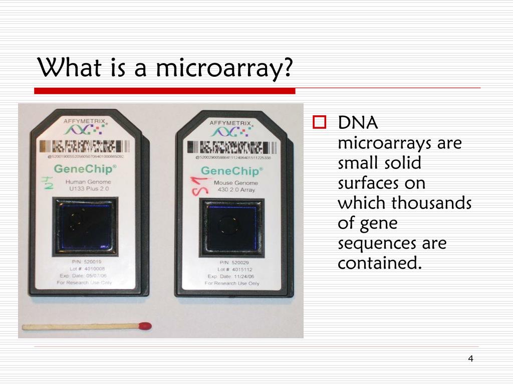 PPT Introduction to Microarrays PowerPoint Presentation, free download ID5836655