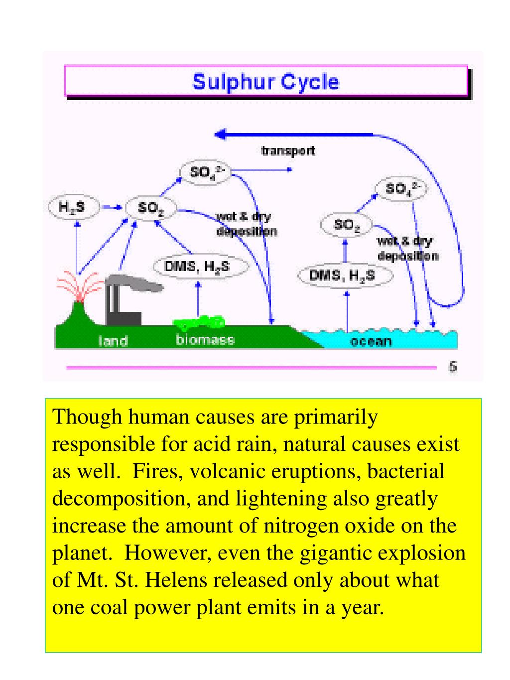 PPT ACID RAIN PowerPoint Presentation, free download ID5840977