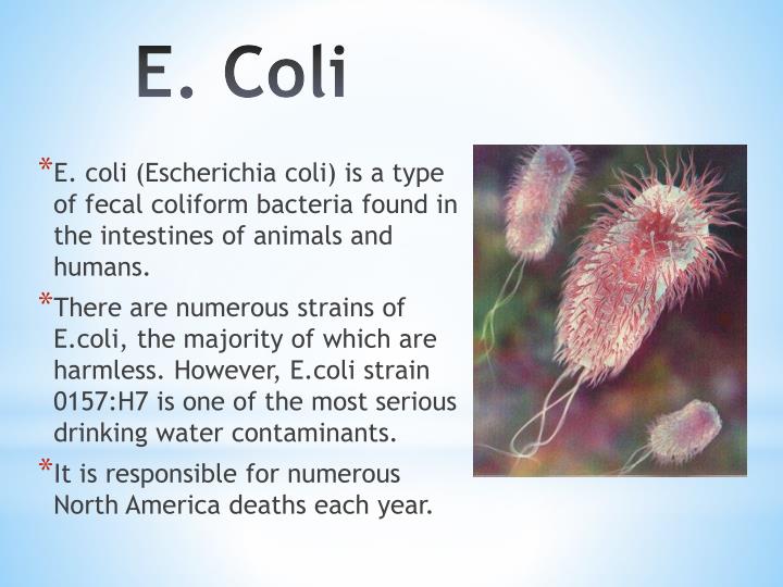 PPT Biological Contaminants PowerPoint Presentation ID5843727