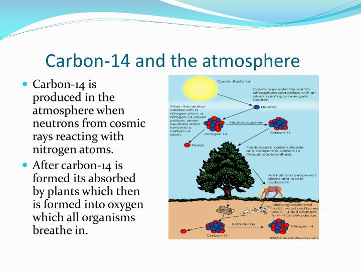PPT Carbon Dating PowerPoint Presentation ID5849821