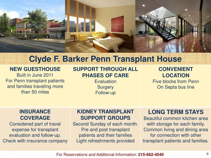 PPT Living Donor Kidney Transplant PowerPoint Presentation ID5852721