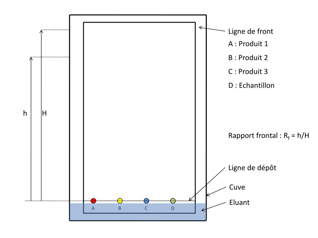 PPT 1.2.1 La chromatographie sur couche mince (CCM