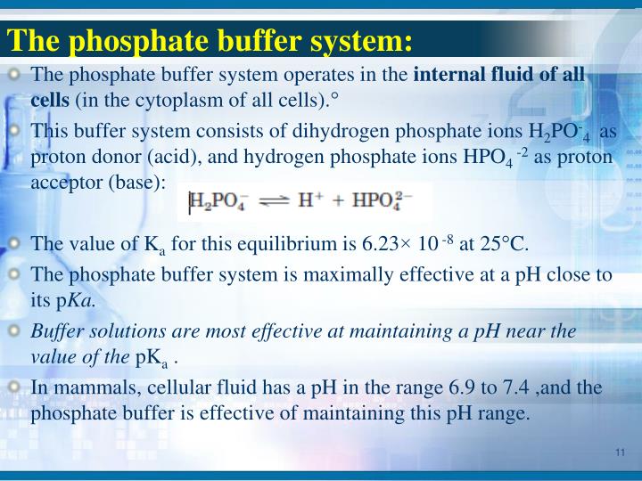 PPT Buffers of Biological & Clinical Significance PowerPoint