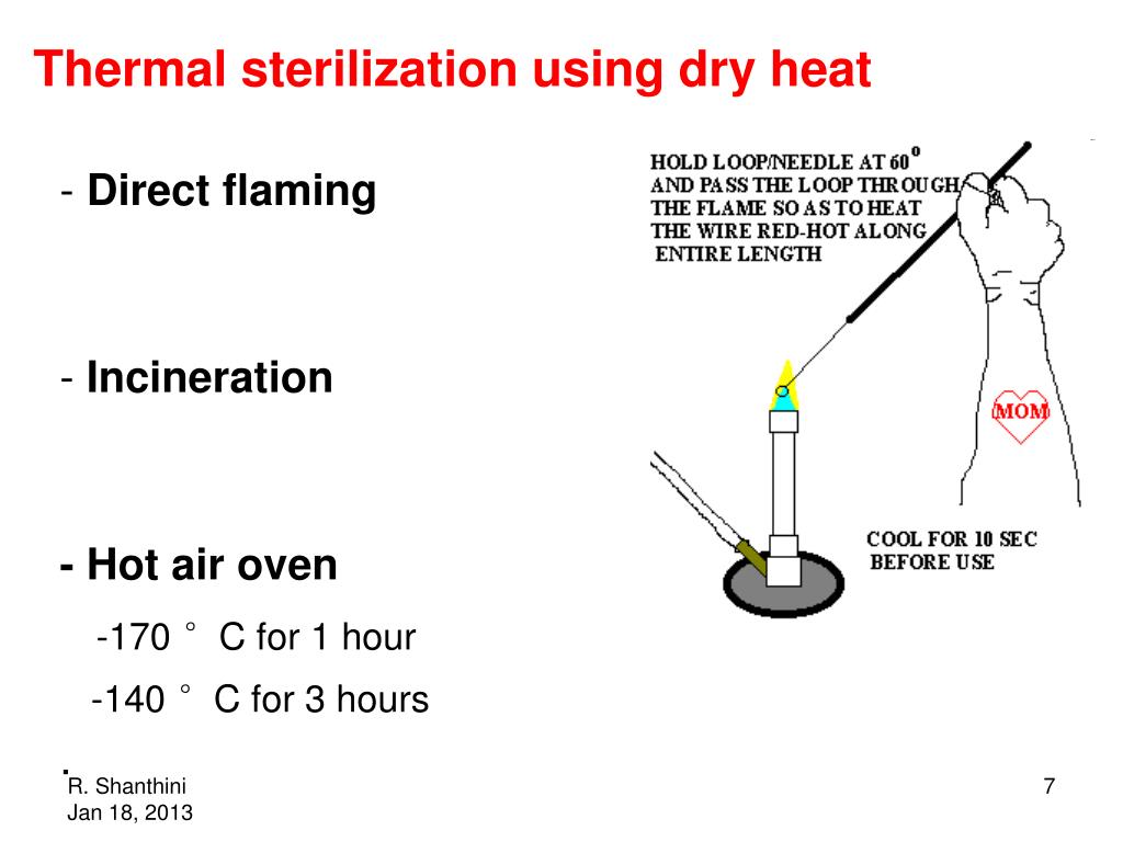 PPT Sterilization PowerPoint Presentation, free download ID5859238