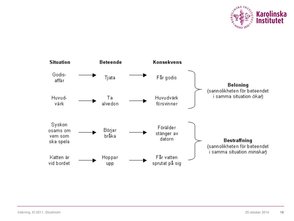 PPT Inlärning Psykologprogrammet, KI PowerPoint Presentation, free