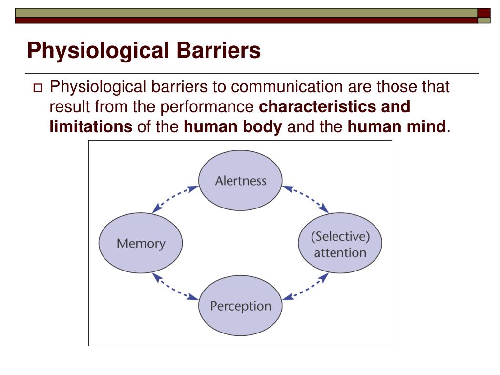 PPT Chapter 2 PowerPoint Presentation, free download ID5864208