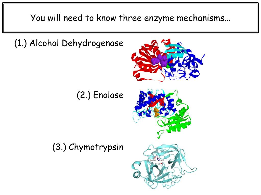 PPT Chapter 6 Enzymes PowerPoint Presentation, free