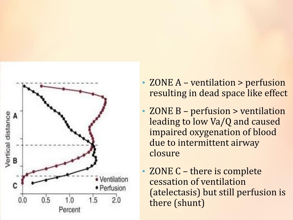 PPT RESPIRATORY PHYSIOLOGY DURING ANESTHESIA PowerPoint Presentation