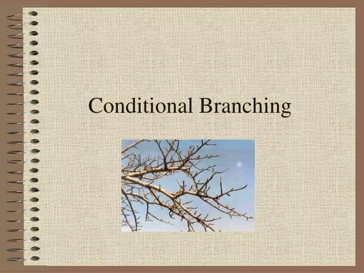 PPT Conditional Branching PowerPoint Presentation, free download ID
