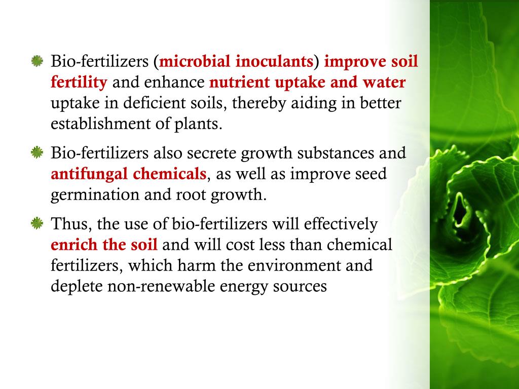 PPT BIOFERTILIZER PowerPoint Presentation, free download ID5876066