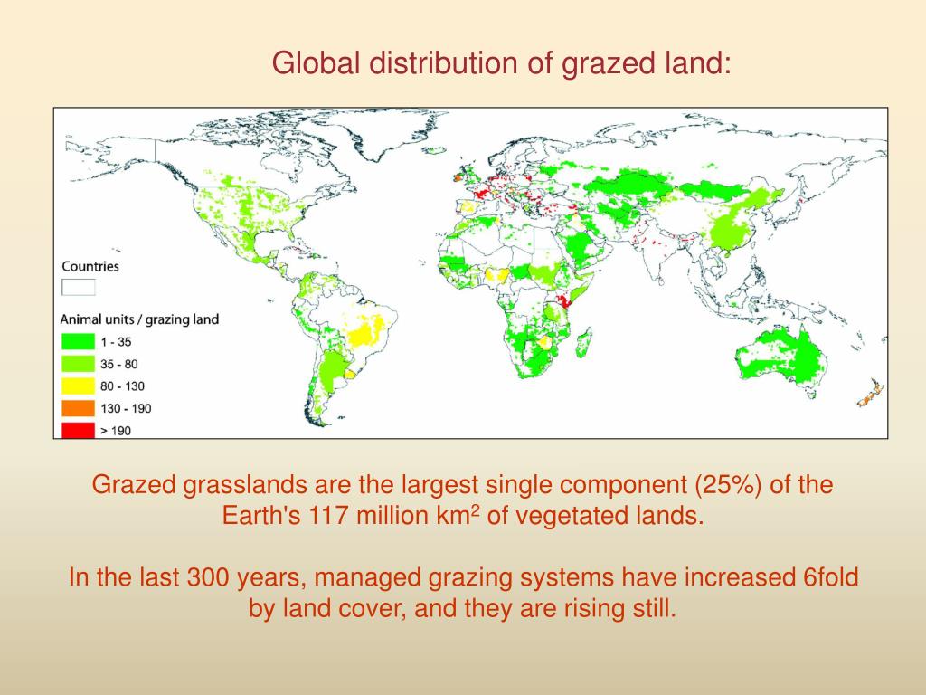 PPT Grazing PowerPoint Presentation, free download ID5877540