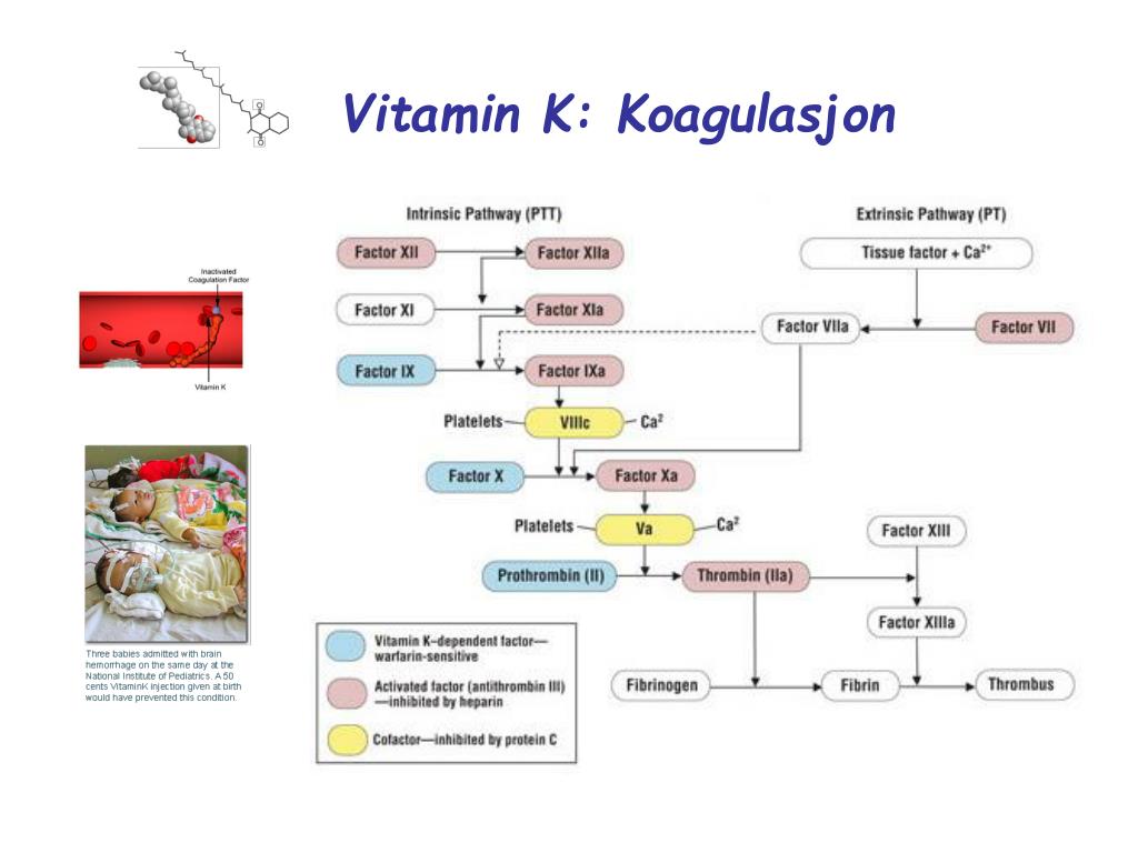 PPT Vitamin K Struktur PowerPoint Presentation, free download ID