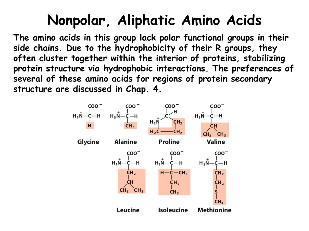 PPT Chap. 3A Amino Acids, Peptides, and Proteins PowerPoint