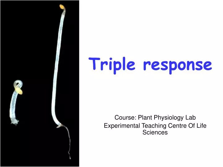 PPT Triple response PowerPoint Presentation, free download ID5887404