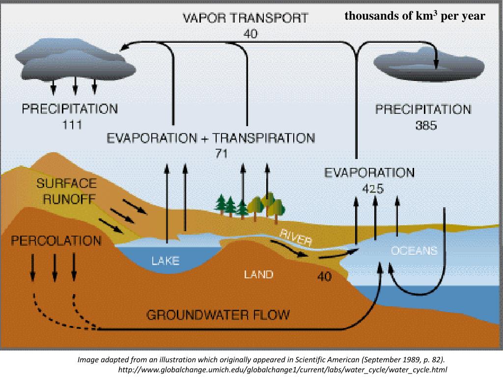 PPT Lecture 2 Biophysical interactions between land and