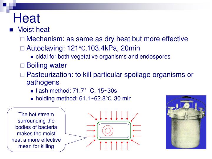 PPT Sterilization and Disinfection PowerPoint Presentation ID5893929