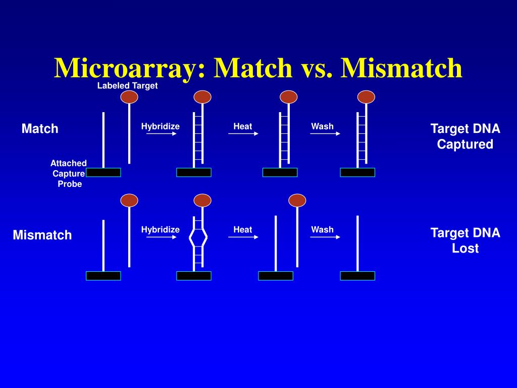 PPT of Congenital Heart Disease PowerPoint Presentation