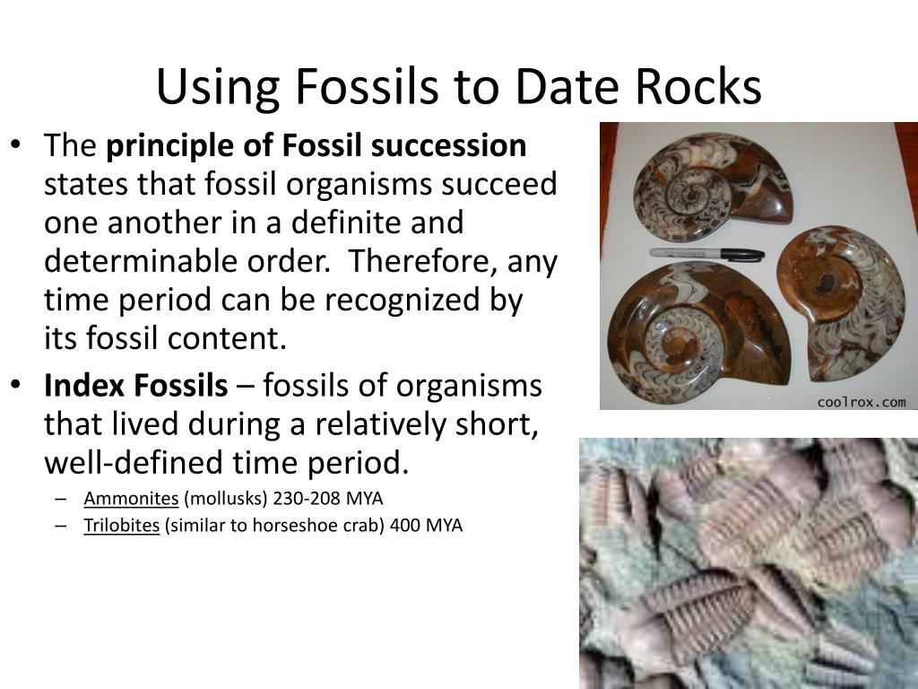 PPT Geologic Dating! PowerPoint Presentation, free download ID5916364