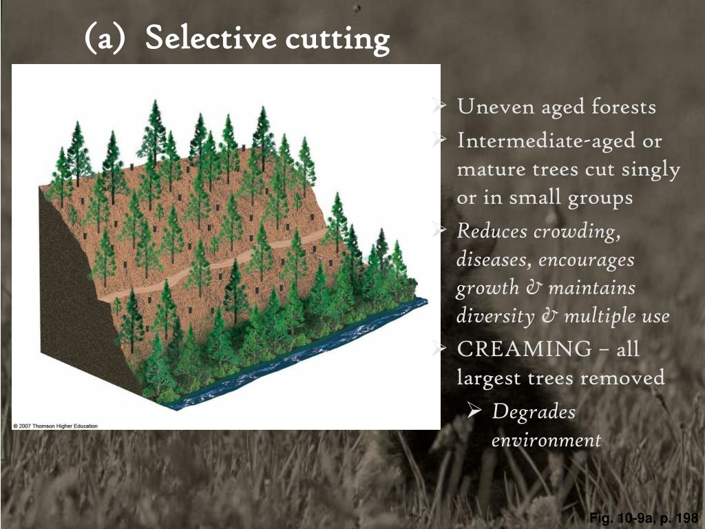 PPT Chapter 10 PowerPoint Presentation, free download ID5917801