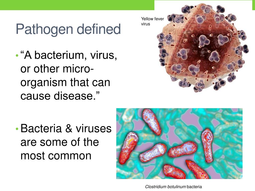 PPT Bacterial & viral Disease PowerPoint Presentation, free download