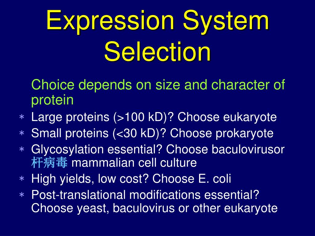 PPT Chapter 8 Expression and Modification of Proteins PowerPoint Presentation