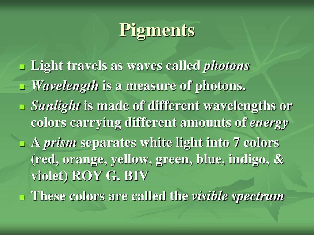 PPT Photosynthesis PowerPoint Presentation, free download ID5948107