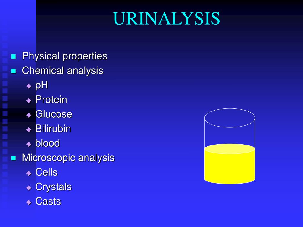 PPT RENAL FUNCTION PowerPoint Presentation ID5953752