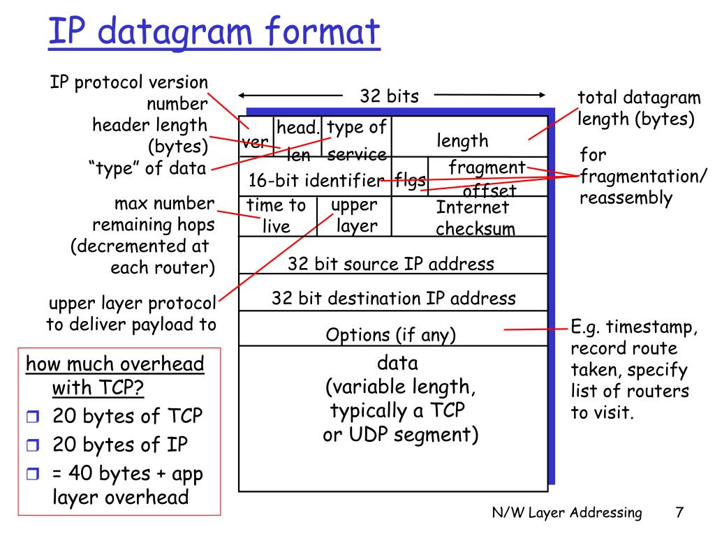 PPT Network Layer Addressing PowerPoint Presentation, free download