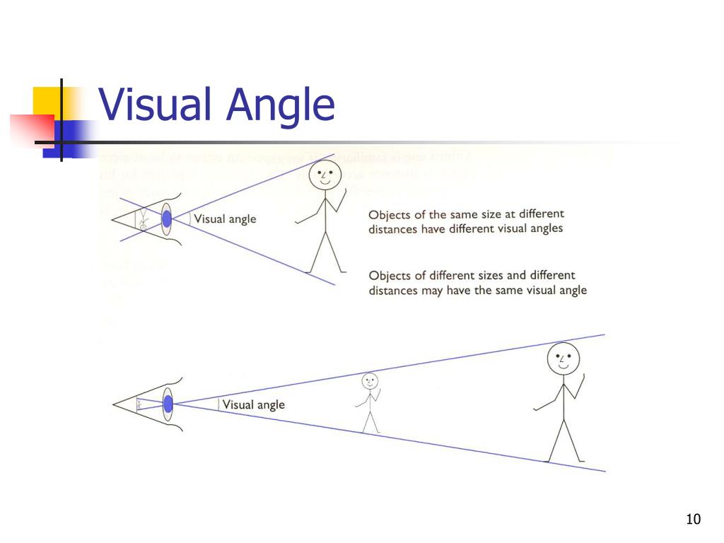 PPT Humans PowerPoint Presentation, free download ID5962501