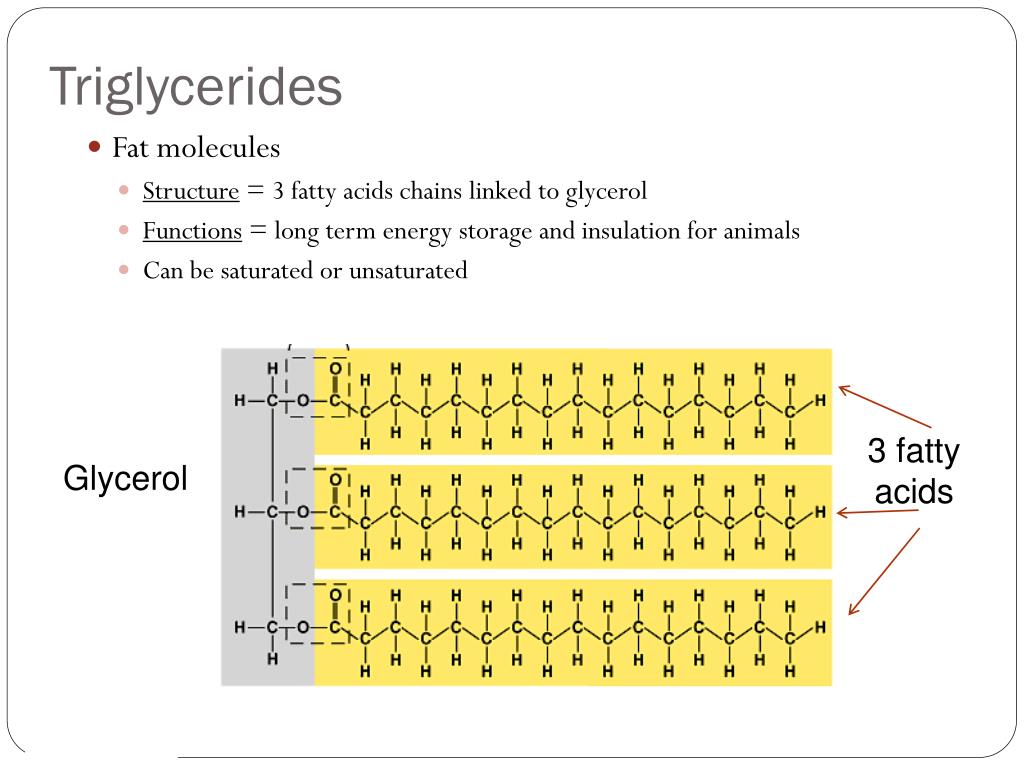 PPT Intro to Organic Molecules & Lipids PowerPoint Presentation, free