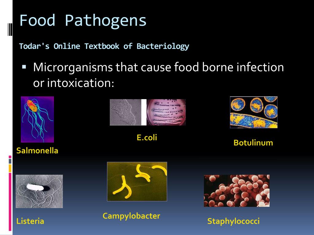 PPT Foodborne pathogens It can be classified into three forms