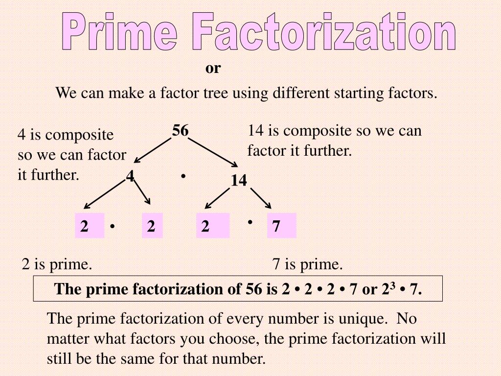 PPT - Prime Factorization, Greatest Common Factors, Least Common
