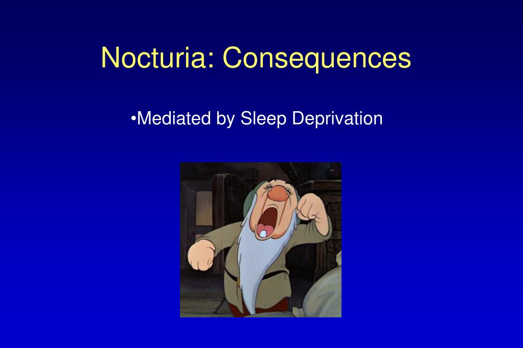PPT Nocturia Causes, Consequences and Clinical Approaches PowerPoint Presentation ID5972574