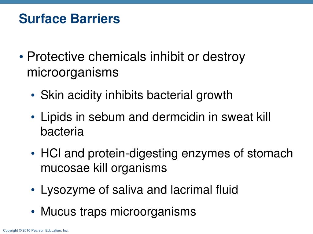 PPT The Immune System Innate and AdaptiveBody Defenses Part A