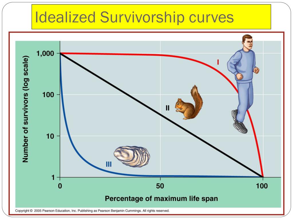 PPT Population Dynamics PowerPoint Presentation, free download ID