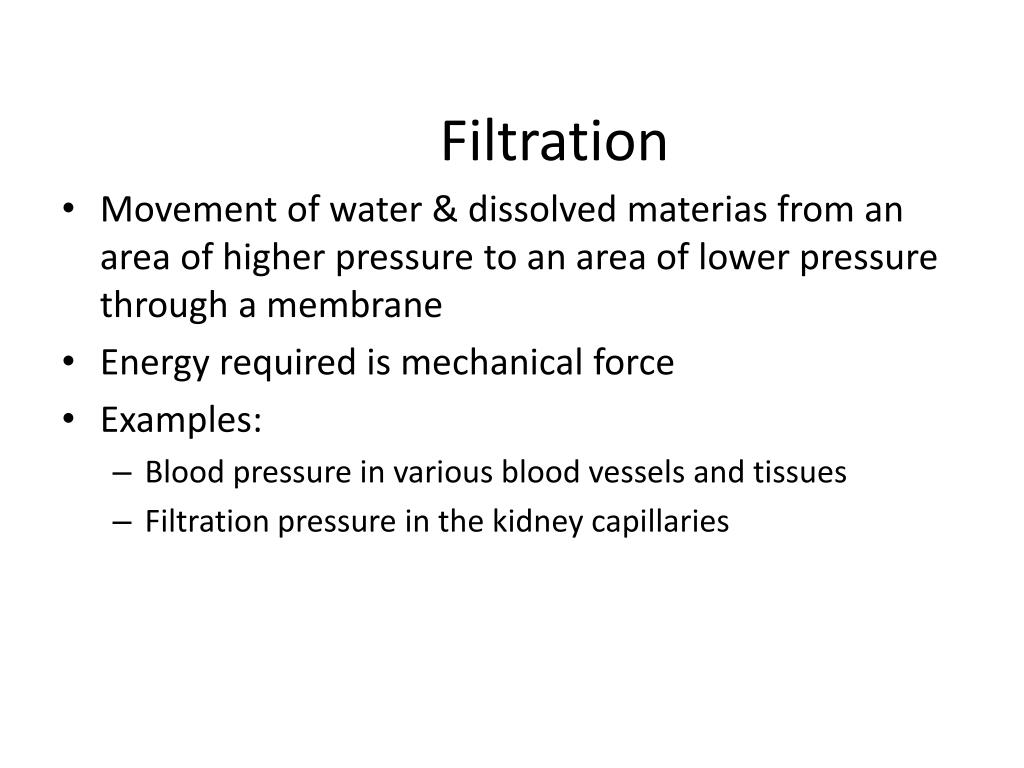 PPT Anatomy & Physiology PowerPoint Presentation, free download ID