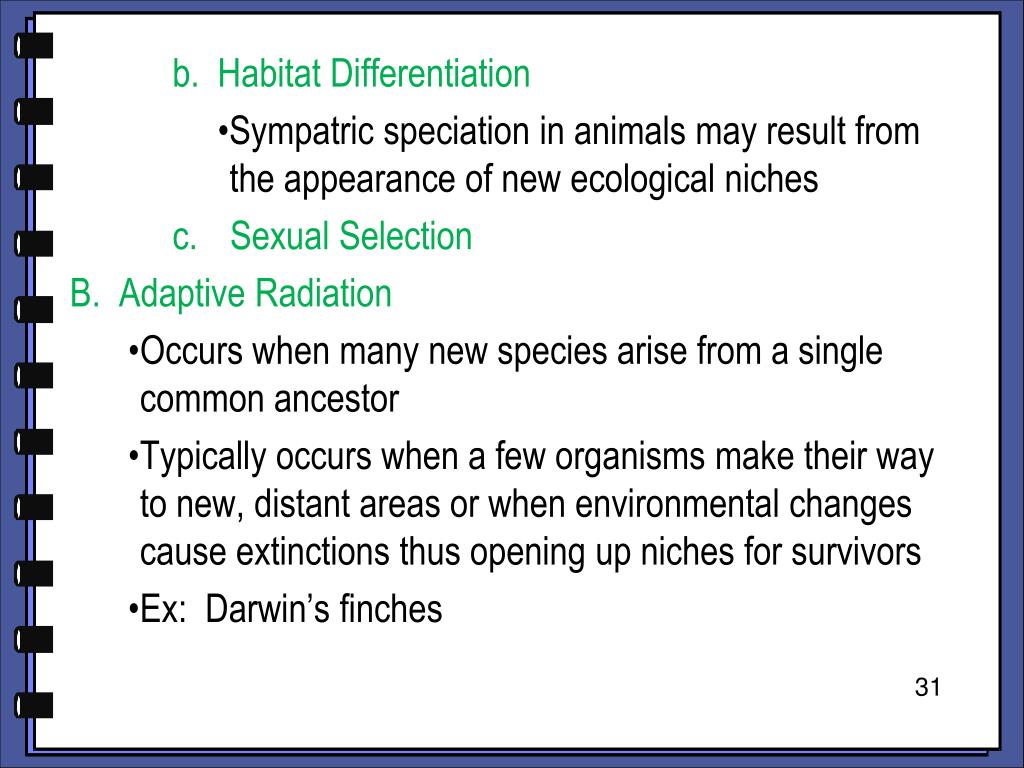 PPT CHAPTER 24 PowerPoint Presentation, free download ID5991795