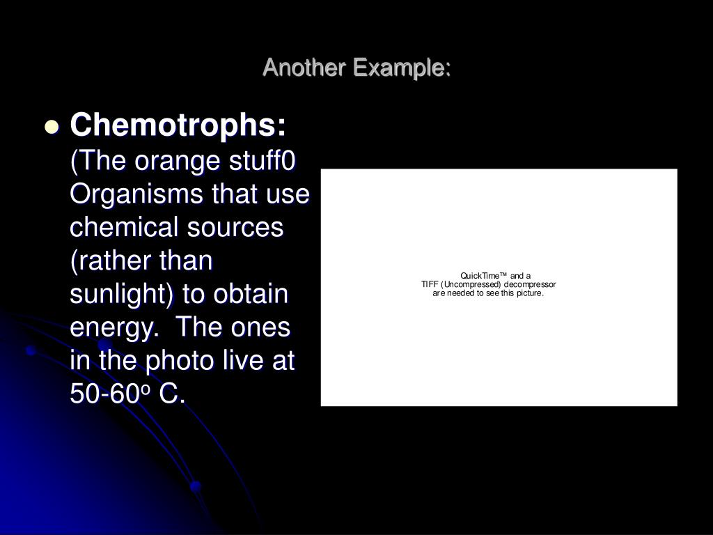 PPT Chapter 1 “Biology and You” PowerPoint Presentation ID6004640