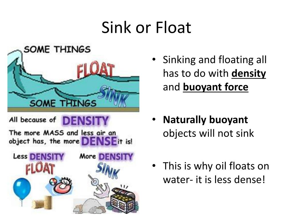 PPT Standard 8 PowerPoint Presentation, free download ID6005303