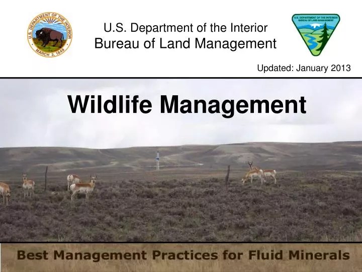 PPT U.S. Department of the Interior Bureau of Land Management PowerPoint Presentation ID6007329
