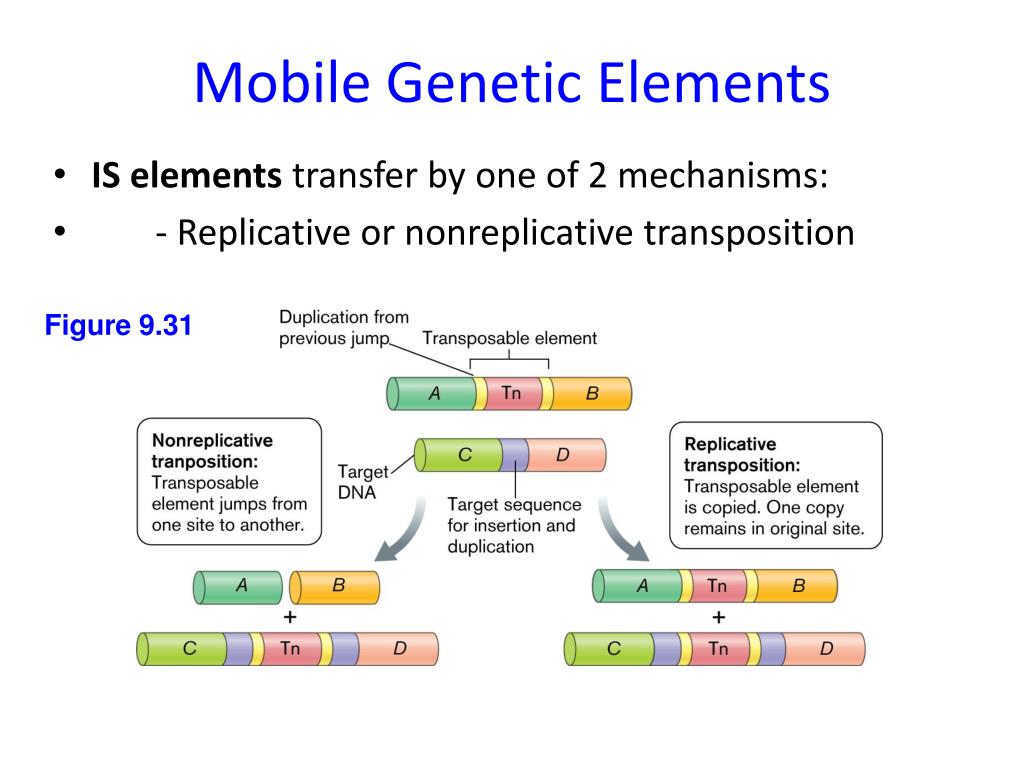 PPT Bacterial PowerPoint Presentation, free download ID