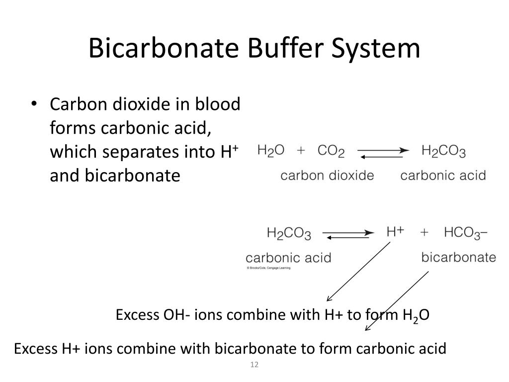 PPT Agenda PowerPoint Presentation, free download ID6007863