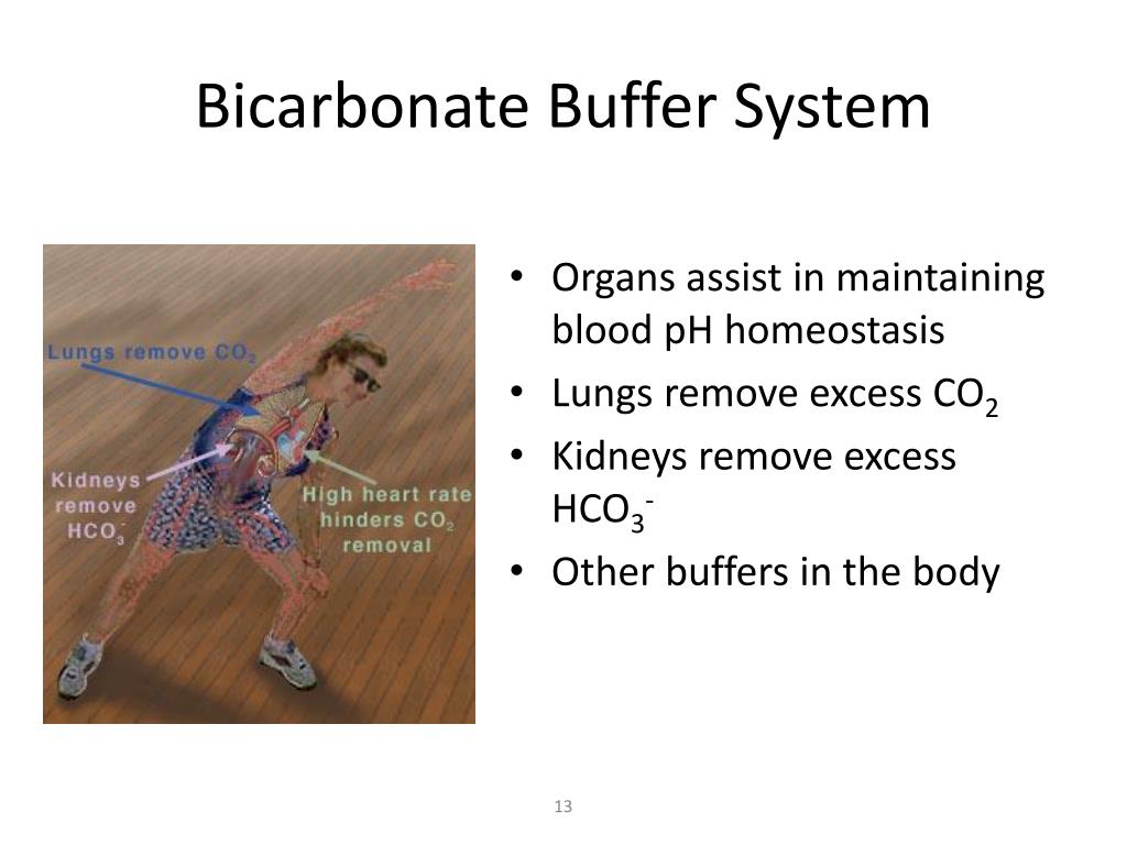 PPT Agenda PowerPoint Presentation, free download ID6007863