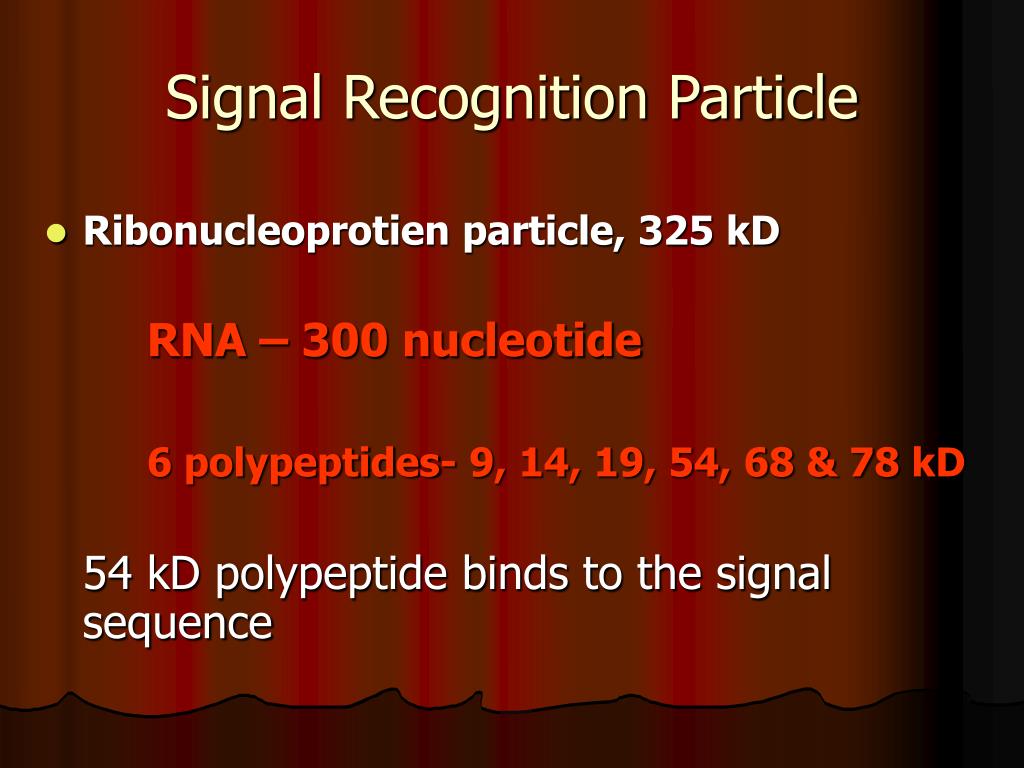 PPT The Protein Targeting PowerPoint Presentation, free download ID