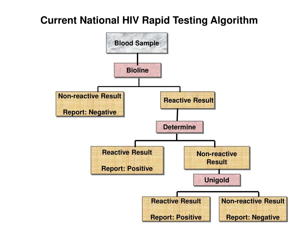 PPT HIV Testing Quality Assurance and Quality Control PowerPoint Presentation ID6009277