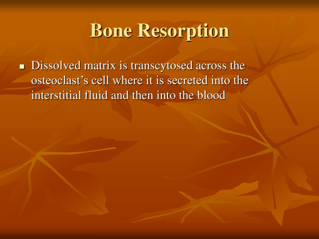 PPT Stages of Intramembranous Ossification PowerPoint Presentation