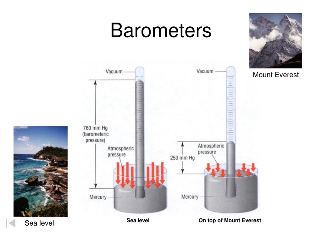 PPT Properties of Gases PowerPoint Presentation, free download ID