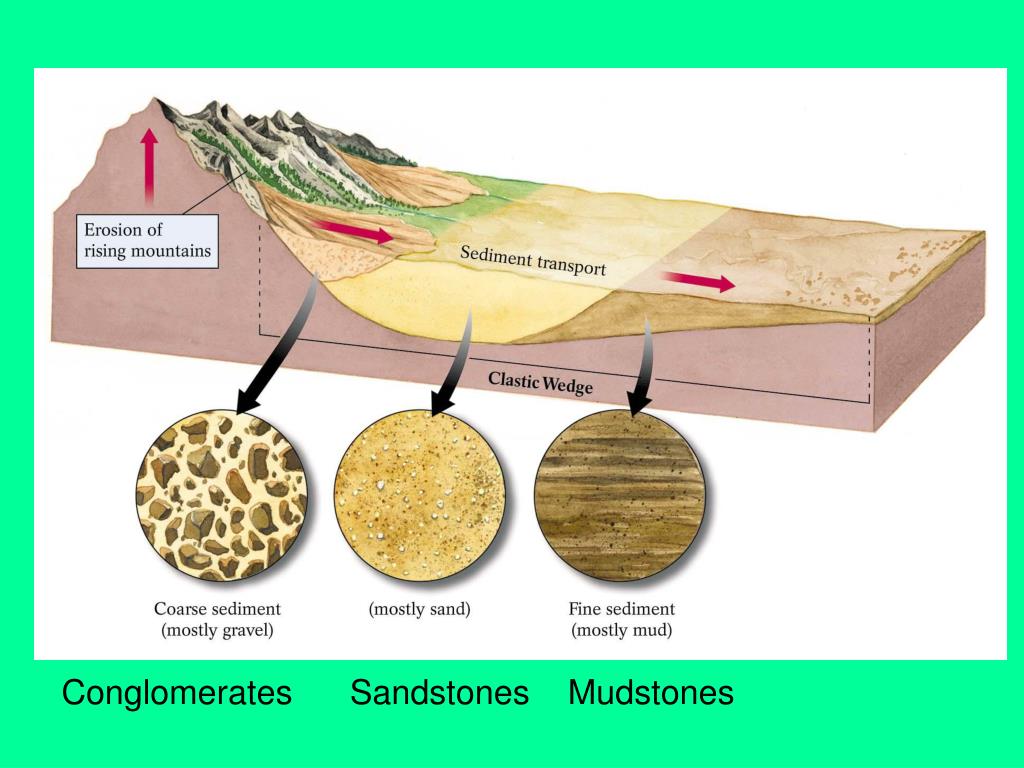 PPT Sedimentary Rock Classification PowerPoint Presentation, free