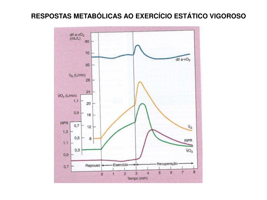 PPT EXERCÍCIO SISTEMA CARDIOVASCULAR E RESPIRATÓRIO