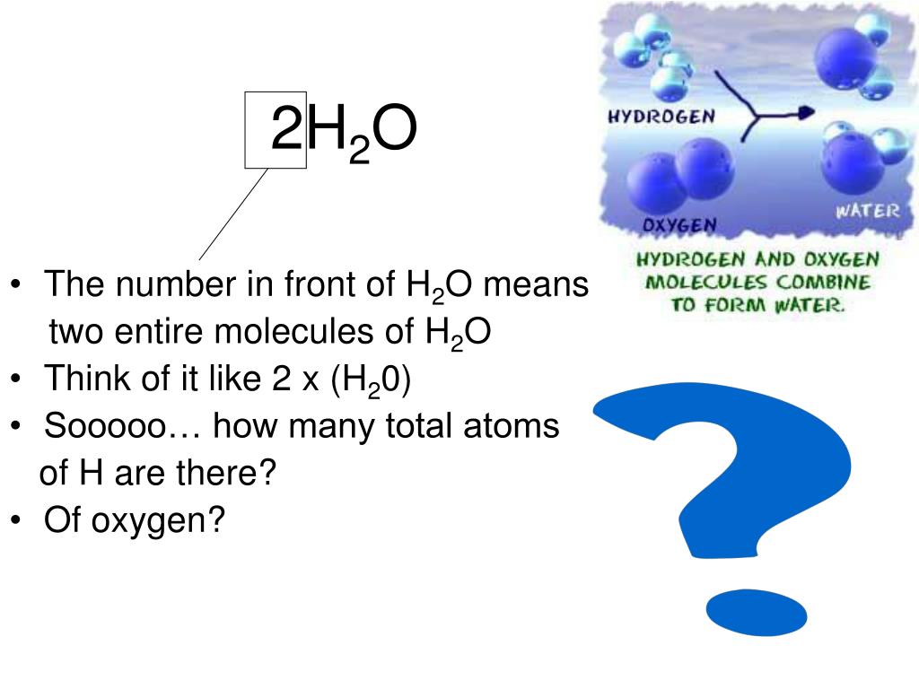 PPT Why Study Chemistry in Biology? PowerPoint Presentation, free